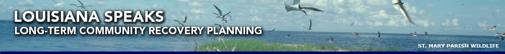 Louisiana Long-Term Recovery Home Page